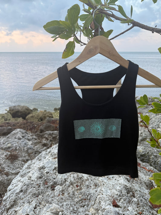 Sunshine shell tank SM