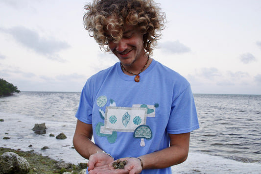 Shell and shroom blue tee LG